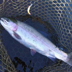 エキスパートエリアで大物狩り ～平谷湖フィッシングスポット～